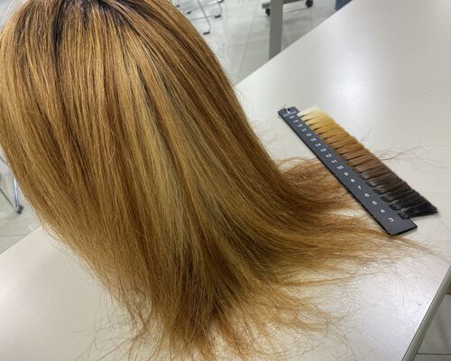 BDF42BE8-A61B-4C2C-94A1-AA91A0F70A5E